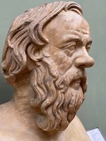 The sapiens