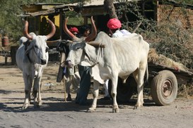 Innovazione convergente e ricombinante