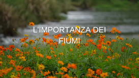 L’IMPORTANZA DEI FIUMI