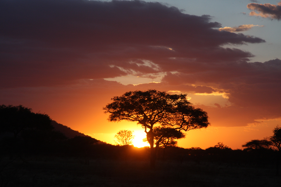 Tanzania