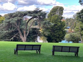 AI: fiducia ancora da conquistare