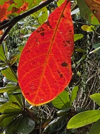 Come gestire con successo le Customer Data Platform