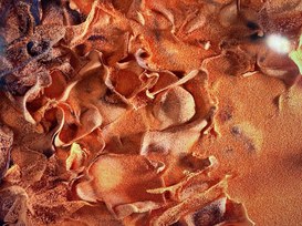 Tecnologie: attenti alla visione distorta