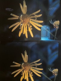 Trasporto più sicuro. Una proposta della start up CAEmate