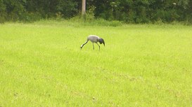 Vertiv e GreenScale: gli obiettivi