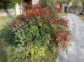 La SEO senza contenuti di qualità non serve a nulla!